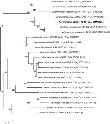 Genomic-based phylogenetic and metabolic analyses of the genus Natronomonas, and description of Natronomonas aquatica sp. nov.